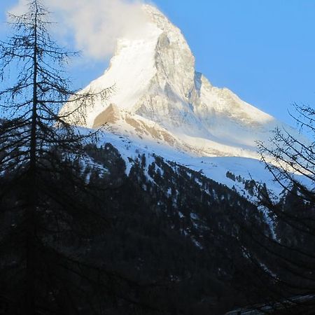 Haus Marico Lejlighed Zermatt Eksteriør billede