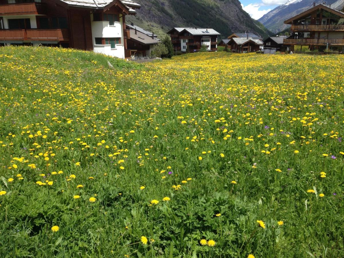 Haus Marico Lejlighed Zermatt Eksteriør billede