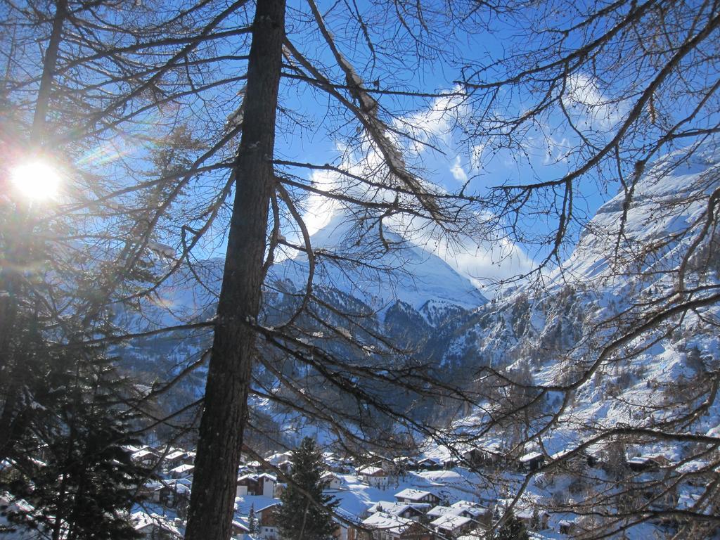 Haus Marico Lejlighed Zermatt Eksteriør billede