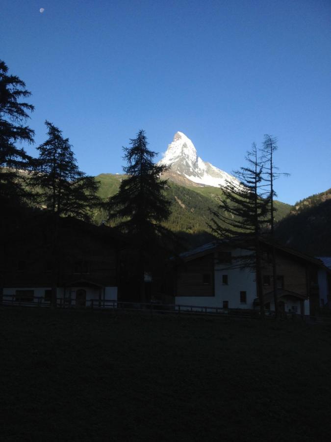 Haus Marico Lejlighed Zermatt Eksteriør billede